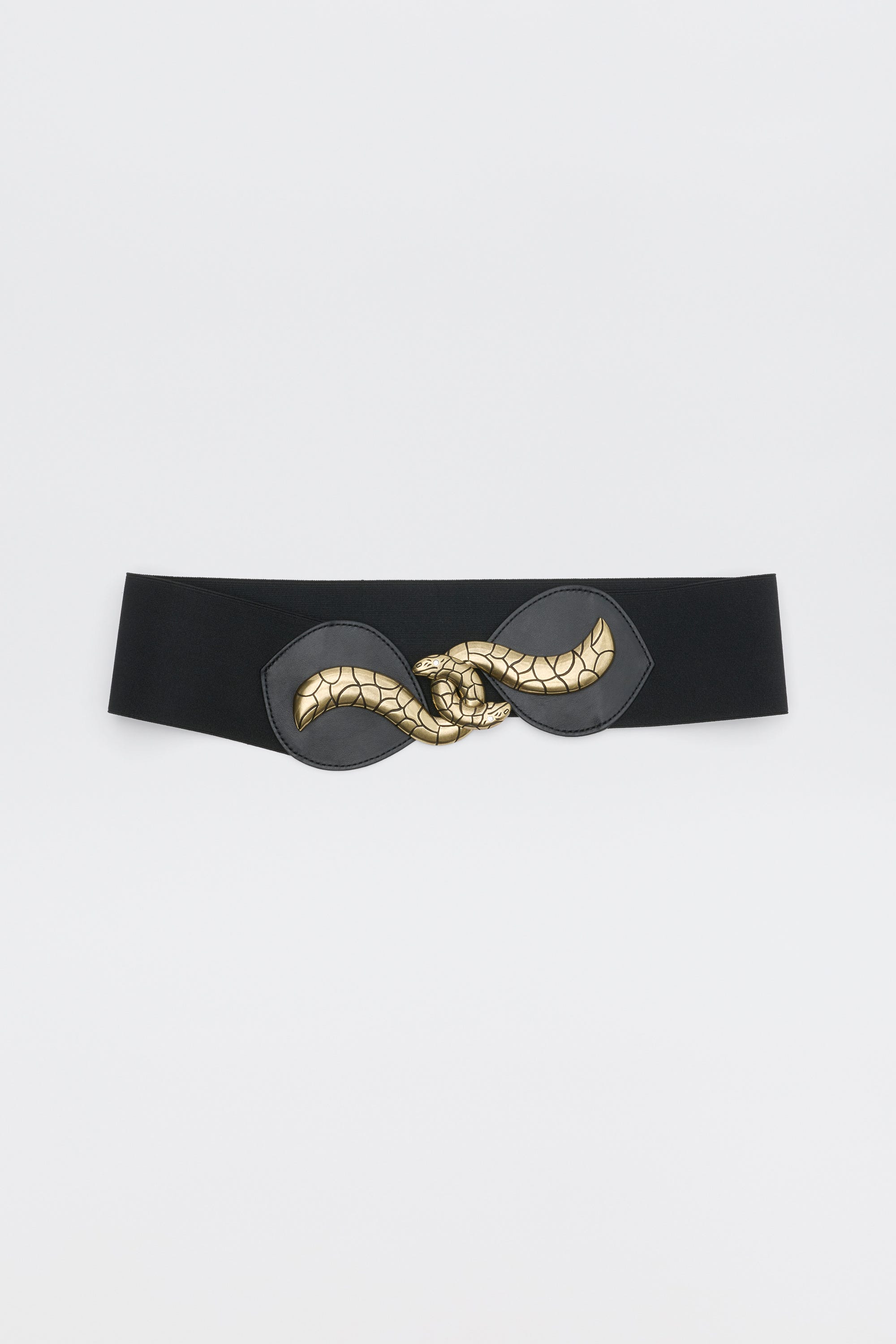 Milena - Black elastic waist belt featuring a gold snake-shaped metal clasp.